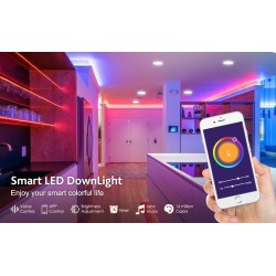 Zigbee Smart Downlight - 10W - 90mm Cut External Driver
